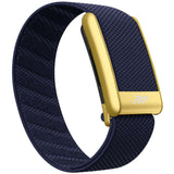 Whoop Go-To Strap in Royale, gold buckle